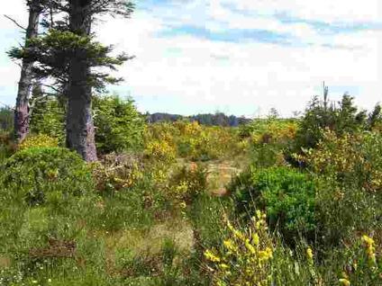 $190,000
Bandon, 20 acres logged about 5 years ago, a lots of young