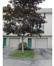 $195,900
$195,900 Single Family Home, Exeter, NH