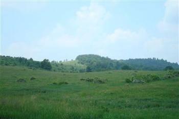 $197,000
Accident, 65.00 acres of rolling farm land with panoramic