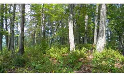 $199,000
Hayesville, GREAT LAKE VIEWS!!!! This lot located in a gated