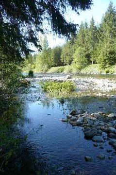 $199,000
North Bend, Lovely wooded lot sitting on the Snoqualmie