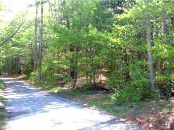$199,000
One of a Kind 42+/- Acre Tract in Towns County!