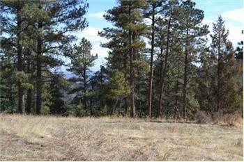 $199,000
Rist Canyon Building Site