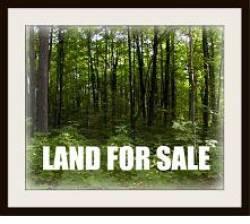 $199,900
Bring the Horses! Many Possibilities on This 21 Acre Parcel