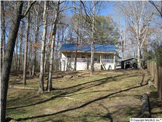 199 County Road 221 Arley, AL 35541