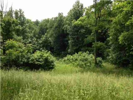 $19,000
Newburgh, Wooded lot that could be used for a walkout