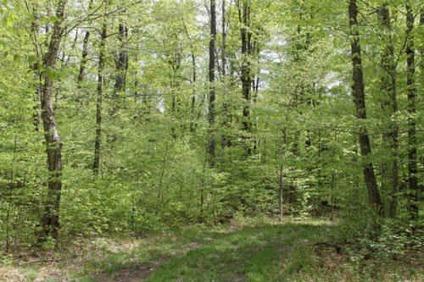 $19,900
20 Acres -- Hunting Land with Access to State Forest -- Private!