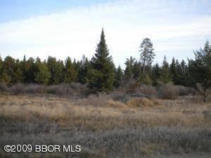 $19,900
Bemidji, Don't miss out on these wooded building lots only