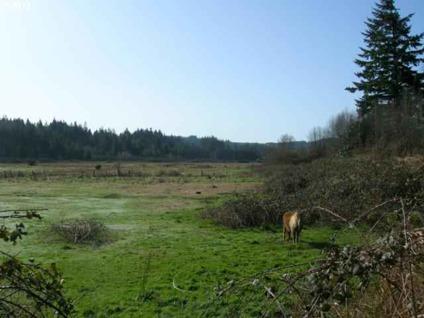 $19,900
Coos Bay, Nice lot on dead end street. Owner may carry.