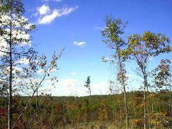 $19,900
Great Ozarks Country near the Black River - 3.1 acres