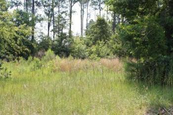 $19,900
Hattiesburg, Great incentive price to buy all four lots!