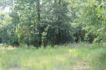 $19,900
Hattiesburg, Outstanding incentive price to buy all four