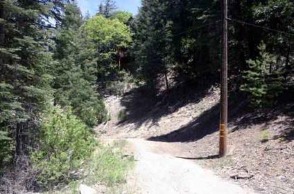 $19,900
Lake Arrowhead Land for Sale - Secluded w/ lake rights