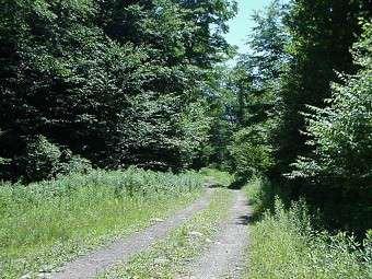 $19,900
Salisbury Center, 19.8 Acre wooded parcel located on Lower