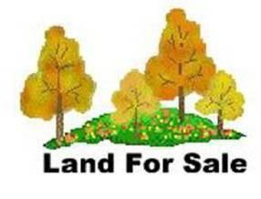 $19,950
Fox Ridge Subdivision-Mt. Carmel, TN - 24 Building lots (restricted) with city