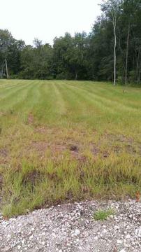 $19,999
Jacksonville, Vacant land in Baldwin cleared and ready to