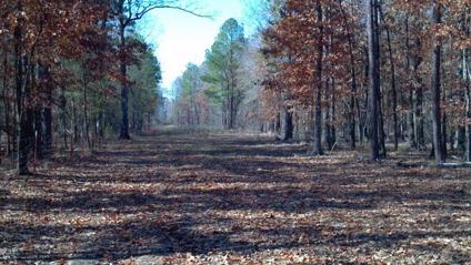 $1,100,000
Miller County, Arkansas Land for Sale