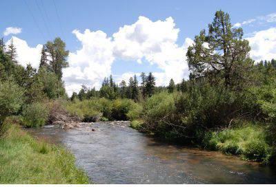 $1,150,000
20.14 Acres Of Land On Mammoth Creek