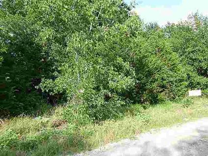 $1,200
Don't Miss this Deal! Nice wooded lot with gravel road frontage at Peyton Place