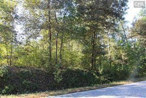$1,384,500
Camden, BEAUTIFUL TRACK OF LAND ON TICKLE HILL ROAD.