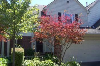 $1,549,000
Farmington Hills 2BR 2.5BA, By and far, the best location in