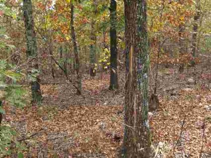 $200,000
Hunters... Get Your Property NOW! Deer, turkey, raccoon, and an abundance of