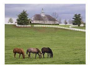 $200,000
Northwood, HORSE PEOPLE AND FARMERS! 100 ACRES