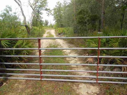 $201,000
Ludowici, A hunter's paradise. Over 143 acres joins state