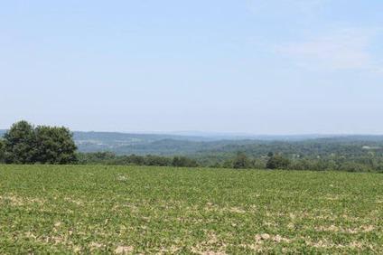 $209,900
110 Acres -- Farmland -- Rich Fertile Farmland -- Small Creek -- Views