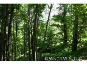 $20,000
Backs to Greenspace on a corner lot with exc...
