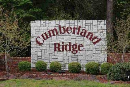 $20,000
Cumberland Ridge on Lake Palestine. Well sought after subdivision in Bullard