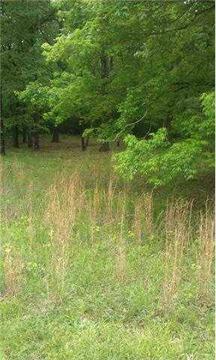 $20,000
Great lot in Beechview, a Tennessee River community, perfect for building or