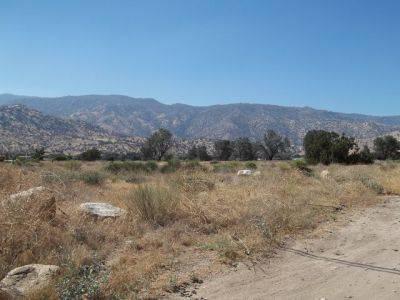 $20,000
Large Level Lot available in Downtown Lake Isabella
