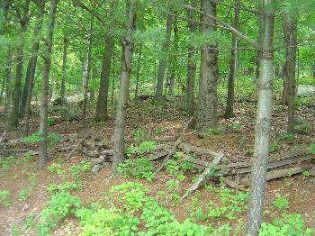 $20,000
Linden, Nice lot. Approximately 1 - 1.5 acres in great