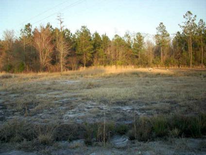 $20,000
Ludowici, This is a great location for your next home.