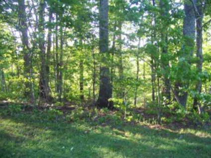 $20,000
Nebo, Looking for nice lot in Premiere Development,look no