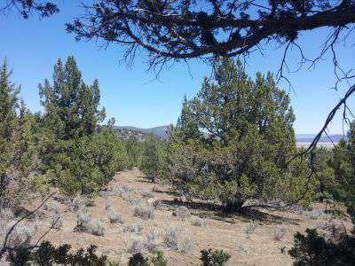20 usable acres with mixed terrain.