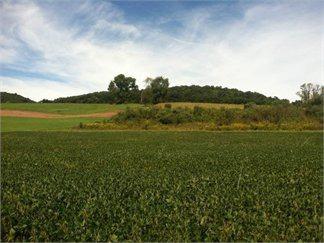 $215,000
86 +/- Acres of Land