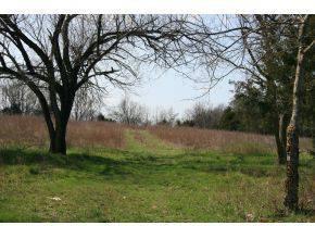 $219,900
Hollister, on this 68.24 Acres mix of wood-land & pasture