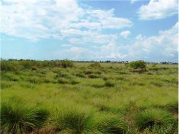 $21,000
Texas Gulf Coast Lots & Land in Sargent Tx