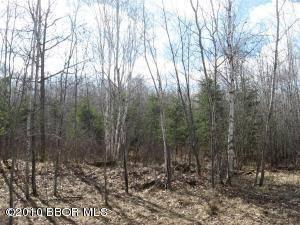 $220,000
Laporte, 80 Acers of prime hunting land w/lots of pines and