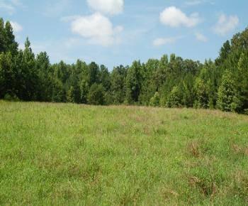 $225,000
Farming and Timber/Hunting