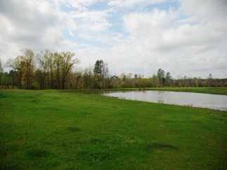 $228,000
38 acres of land for sale in Minden, Louisiana, United States