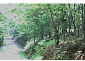 $229,900
Bristol, South Holston Lake with over 3.58 acres and a dock.