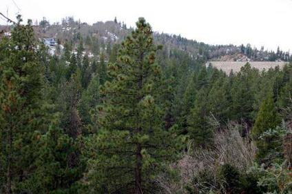 $22,750
Three Contiguous Mountain Lots - Reduced