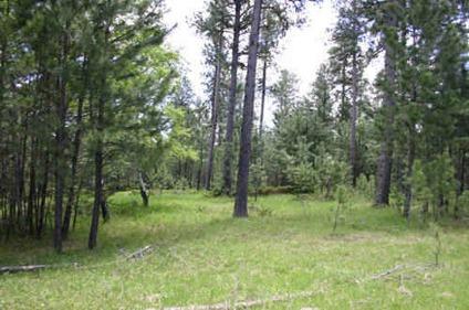 $22,900
1.5 acre lot in Black Forest Ranchettes #3 Lot 40