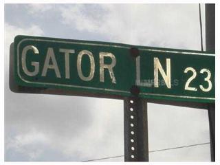 2340 Gator Lane Groveland, FL 34736