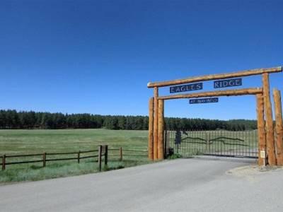 $239,000
Eagle's Ridge Ranch - View Lot - Build your Dream Home Here!