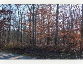 $239,000
Wooded Lot