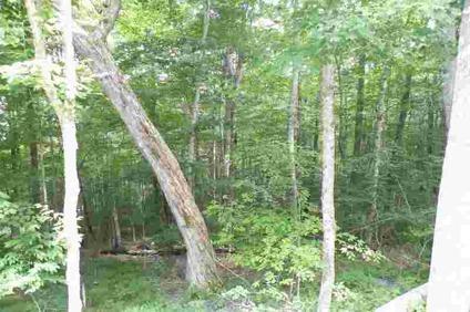 $23,000
Level Sawmill Branch Wooded Lot
